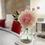 Pension22 Meißen
