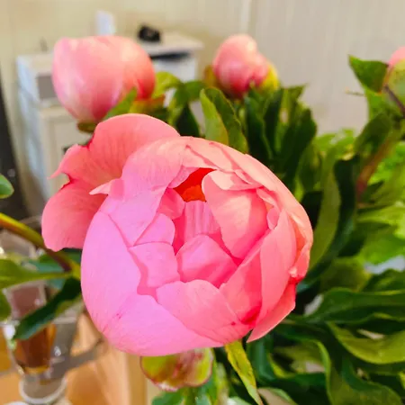 Gasthof Pension22 Meißen